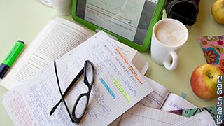 Studienorganisation