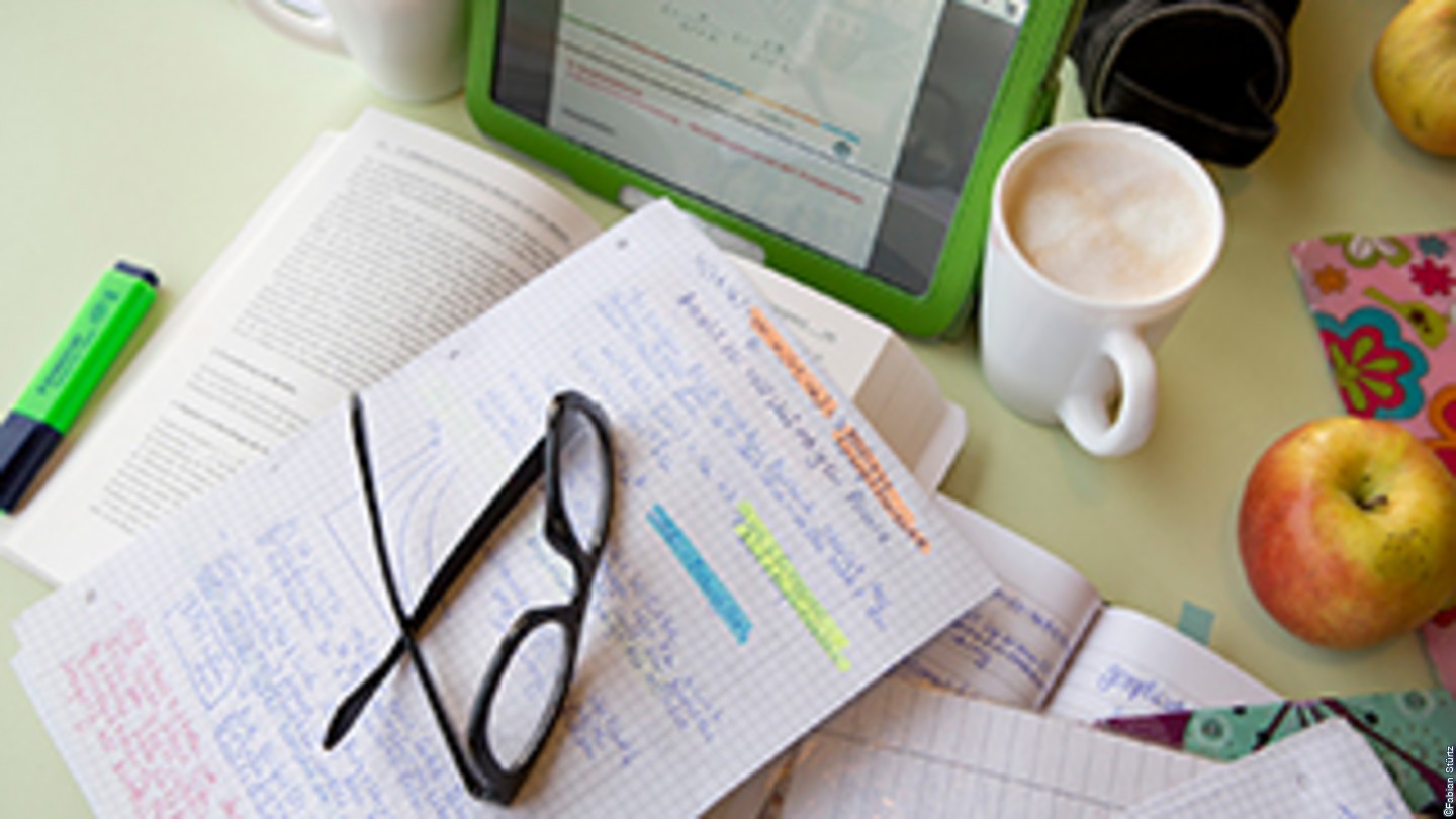 Studienorganisation